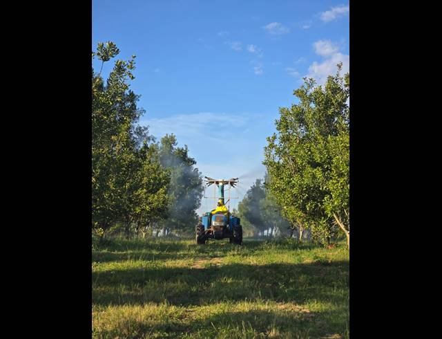 195HA FARM FOR SALE IN WHITE RIVER CENTRAL